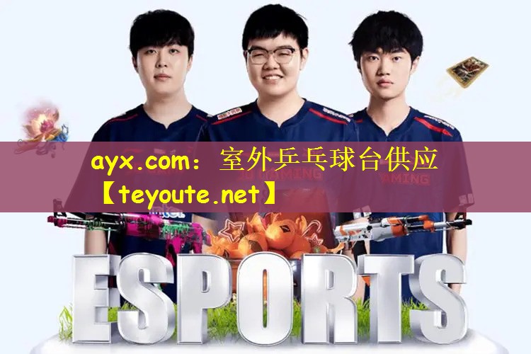 ayx.com：室外乒乓球台供应