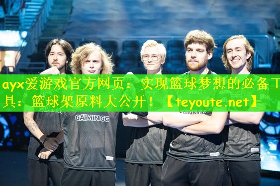 实现篮球梦想的必备工具：篮球架原料大公开！