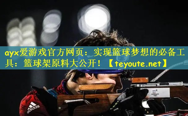 实现篮球梦想的必备工具：篮球架原料大公开！