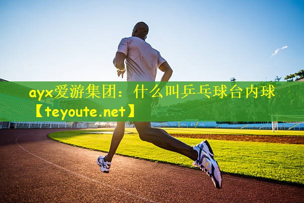 什么叫乒乓球台内球