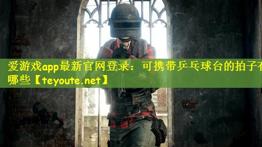 可携带乒乓球台的拍子有哪些
