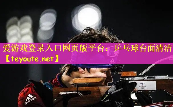 乒乓球台面清洁
