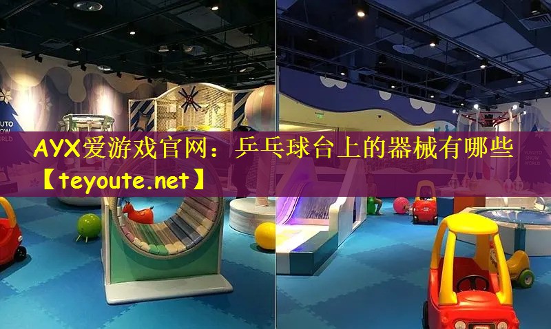 乒乓球台上的器械有哪些