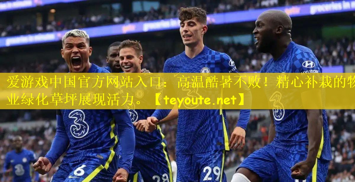 高温酷暑不败！精心补栽的物业绿化草坪展现活力。
